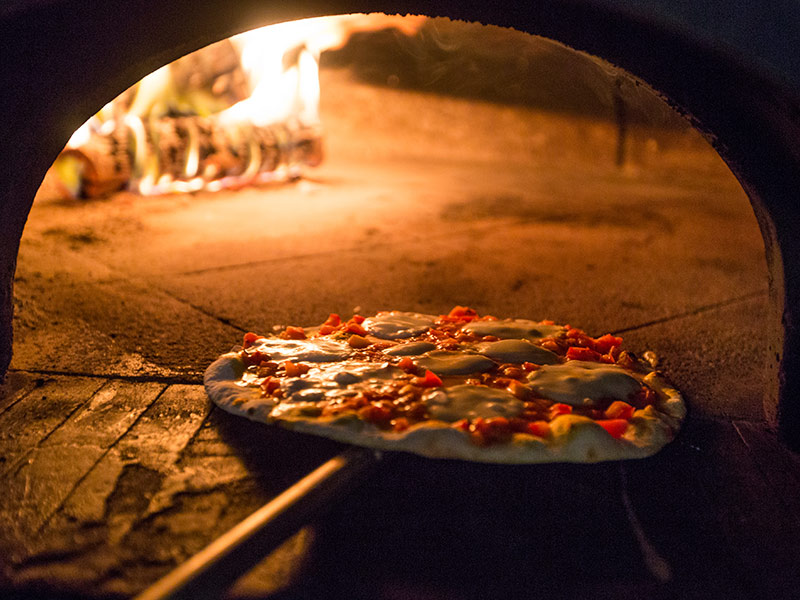 Ementa Mata Bicho Leiria
